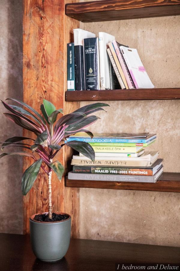 Bohemian Hideout, Old Town, Apartment Tartu